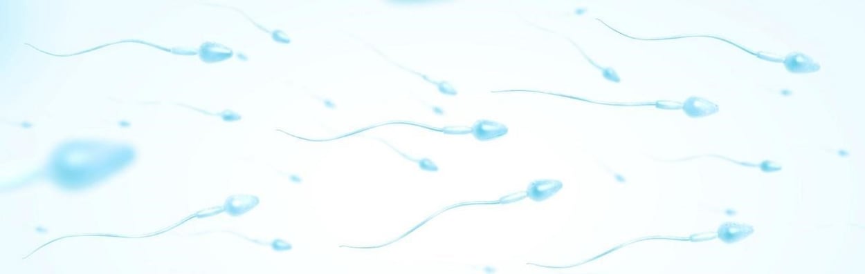 Ilustra&ccedil;&atilde;o de espermatozoides